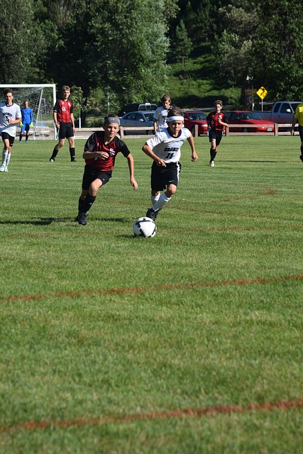 的网络和技 的网络和技