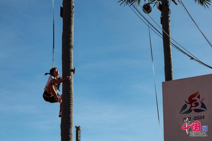 老师的指导 老师的指导